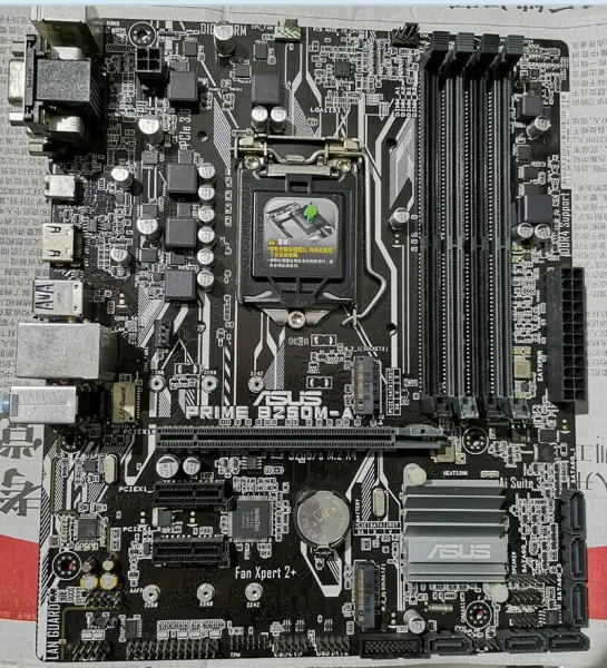 Asus PRIME B250M-A Hauptplatine