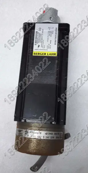 BERGER LAHR Motor VRDM3913/50LWBOB