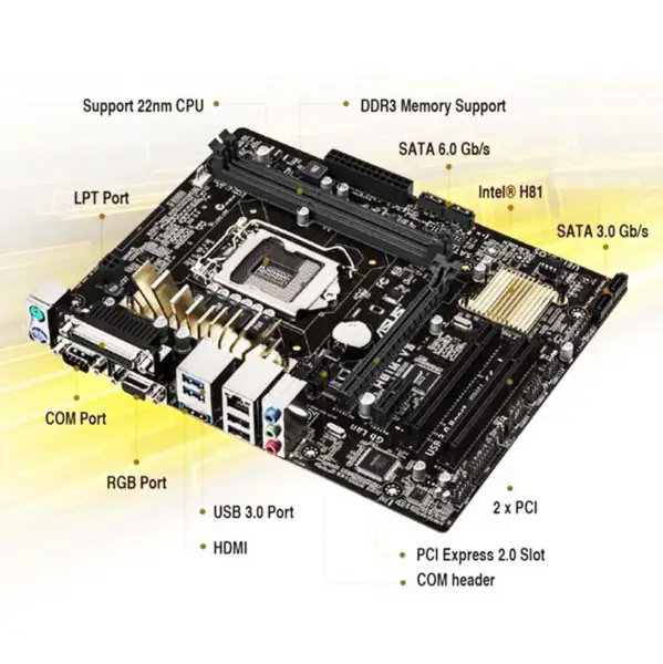 H81 Motherboard für Asus H81m-v3